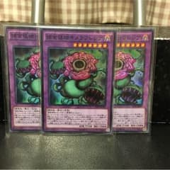 【遊戯王】捕食植物キメラフレシア3枚のサムネイル
