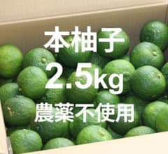 柚子 ゆず 2.5kg 農薬不使用 静岡県産のサムネイル