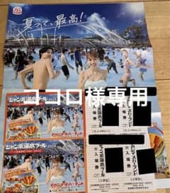 ナガシマスパーランド&ジャンボ海水プール入場券　大人2枚と小学生1枚　ナガスパのサムネイル
