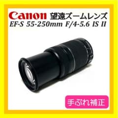 スマホ写真卒業❣️ EF-S 55-250mm IS II キレイに寄れる✨ - メルカリ