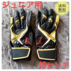 【ジュニア用】ミズノプロ バッティンググローブ シリコンパワーアークLI 両手用のサムネイル