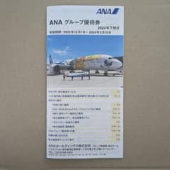 ANAグループ優待券　冊子のサムネイル