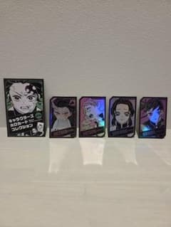 Demon Slayer: Kimetsu no Yaiba Characters Holo Card Collection Vol. 1 - Girls