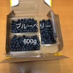 ブルーベリー　600g  無農薬のサムネイル