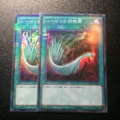 ハーピィの羽根帚のサムネイル