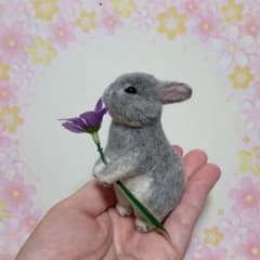 スミレの花を持つネザーランドドワーフちゃん　動物ぽんぽんのサムネイル