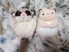 げっ歯類ぽちゃ ぬいぐるみ 2点セット ハムスター モモンガのサムネイル