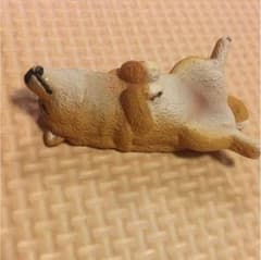 眠る犬のサムネイル