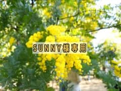 SUNNY様専用のサムネイル