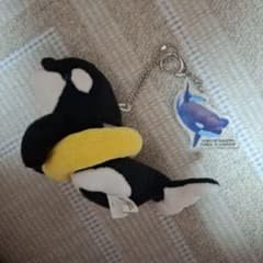 名古屋港水族館 キーホルダー シャチ リン 名古屋港水族館 シャチ ぬいぐるみアクリル キーホルダー リンちゃん