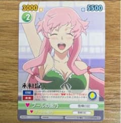 ヴィクトリースパーク 未来日記 プロモ プールの由乃 我妻由乃 - メルカリ