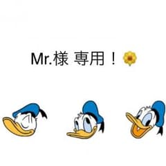 Mr.様 専用！！のサムネイル