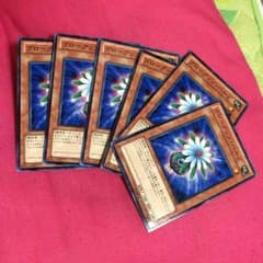 遊戯王 グローアップ・バルブ 植物族 チューナーのサムネイル