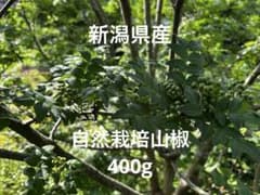 新潟県産　自然栽培山椒の実　400gのサムネイル