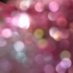 専用のサムネイル