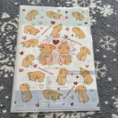 うさぎのしっぽクリアファイルのサムネイル