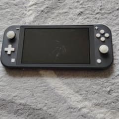 Nintendo Switch Lite グレー 本体のサムネイル