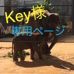 Key様専用ページ♡テプラのサムネイル