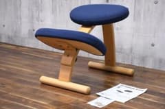 FHI1 美品 サカモトハウス バランスチェア イージー 姿勢矯正 学習椅子 FHI1 美品 サカモトハウス バランスチェア イージー 姿勢矯正 学習椅子