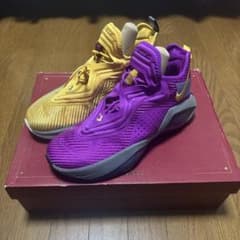 NIKE LeBron Soldier 14 EP 28cmのサムネイル