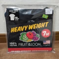 フルーツオブザルーム☆110cm☆Tシャツ