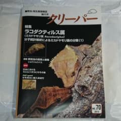 70号のサムネイル