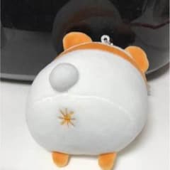 もちふわ ころころぱんだ オレンジのサムネイル