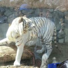 こむぎ様専用のサムネイル