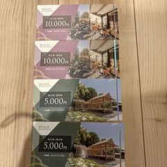 ウェルスマネジメント　株主優待券 30000円分のサムネイル