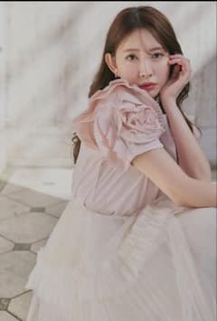 herlipto Vol.2 Rose Sleeve Top - メルカリ