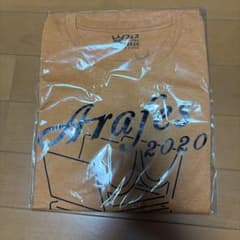 嵐　嵐フェス　コンサートTシャツ　ライブのサムネイル