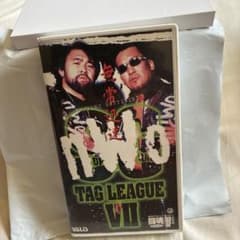 闘魂Vスペシャル Vol.43 SGタッグ・リーグVII VHS 蝶野正洋武藤 - メルカリ
