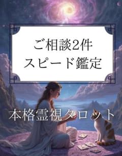 본격 감정 타로 운세 질문 2개