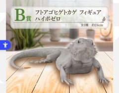 파충류 이치 반 쿠지 B상 풋아고히게 도마뱀 피규어 하이포제로