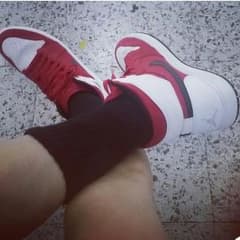 AIR JORDAN 1 HIGH グリフィンのサムネイル