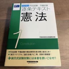 2024年版 司法試験・予備試験 逐条テキスト 1 憲法のサムネイル