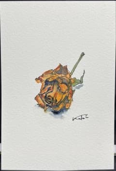 水彩画 花 オレンジのバラのサムネイル