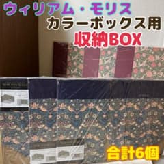 m91908499729_1.jpg?1724726438