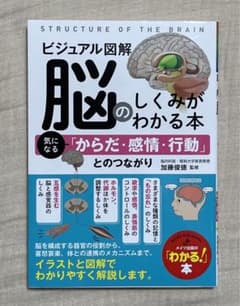 ビジュアル図解 脳のしくみがわかる本 気になる「からだ・感情・行動」とのつながりのサムネイル