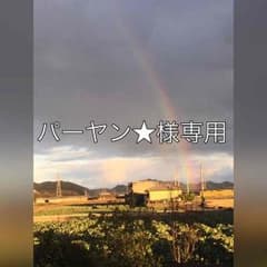 パーヤン★様専用ページのサムネイル