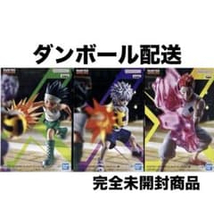 HUNTER×HUNTER 헌터 헌터 곤 킬루아 히소카 GI편