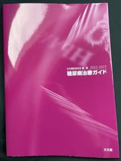 糖尿病治療ガイド2022-2023のサムネイル