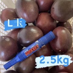 L玉×3.5kg+規格外500g パッションフルーツ L玉3.5kg+規格外500g パッションフルーツ 【公式通販】