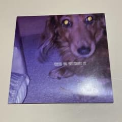 No Buses With or Without It CD 廃盤 レアのサムネイル