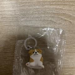 もっちりパピーのめじるしマスコット ボーダーコリーのサムネイル