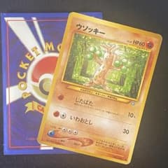 】 希少 引退品 旧裏 ポケモンカード Lv29 HP60 ウソッキー - メルカリ