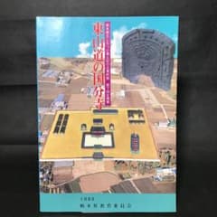 東山道の国分寺　栃木県立しもつけ風土記の丘資料館　1993 考古学　歴史のサムネイル