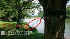 ウーピースリング(ハンドメイド)のサムネイル