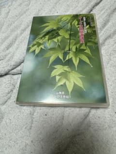 小菅太玄 DVD オーラ開発法 気功 神道 清水義久 高藤聡一郎のサムネイル