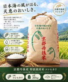 新米・令和8年産「京都府丹後産コシヒカリ」玄米30㎏ 送料無料サービス